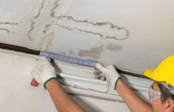 Reliable Burst Pipe Cleanup contractor in Duvall, WA by Water Damage Irwin
